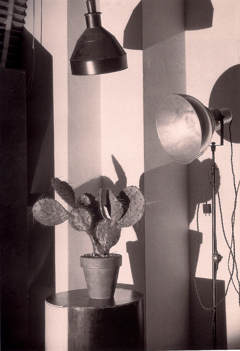 'Cactus and the Photographer's Lamp' Charles Sheeler