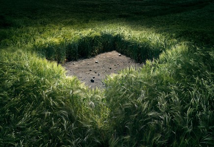 Norfolk-Crop-Square-2005
