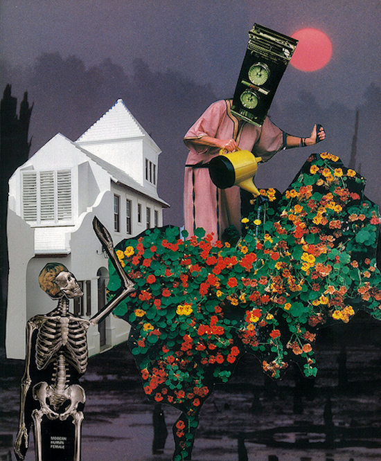 escapeintolife jtreece 3