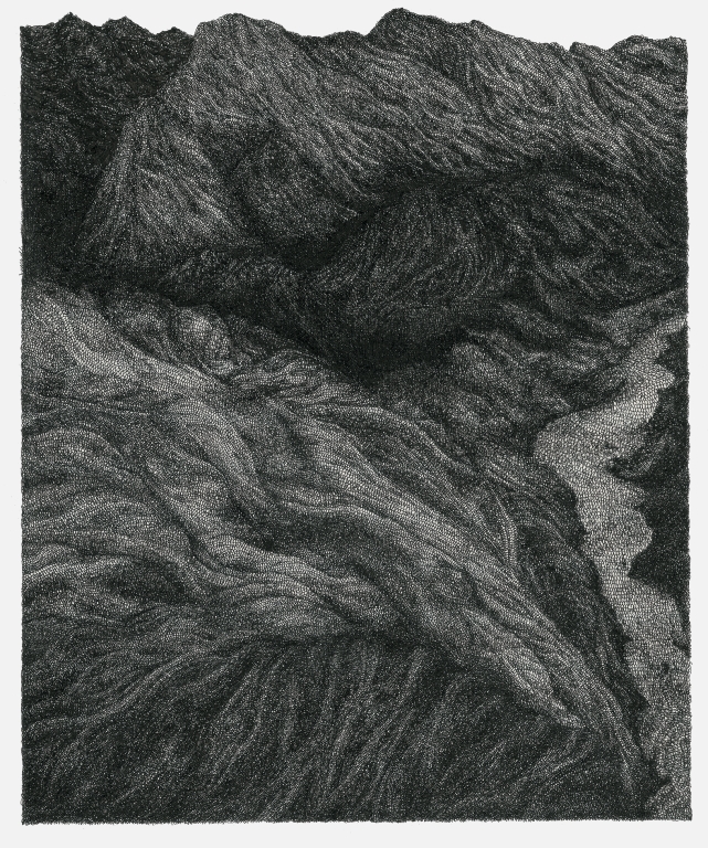 Roisin Dunne