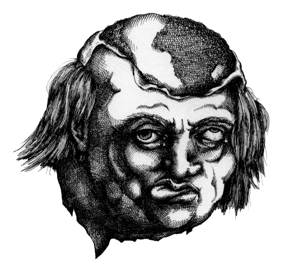 Skull Moss