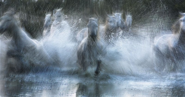 escapeintolife timflach