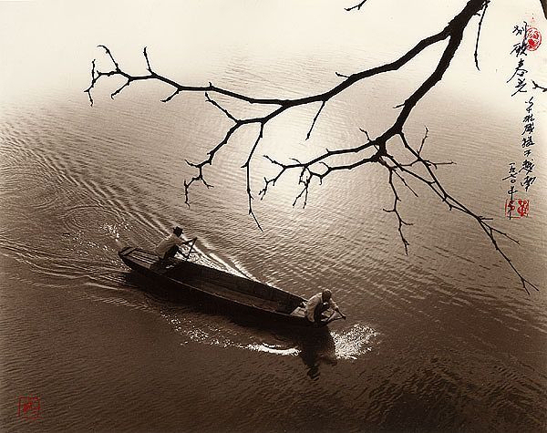 escapeintolife dhongoai