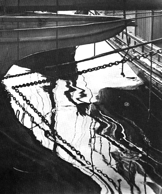 fjs-aabodine-Symphony in Reflections-1925