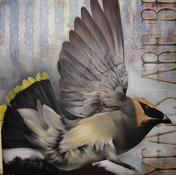 escapeintolife_galleryofbirds
