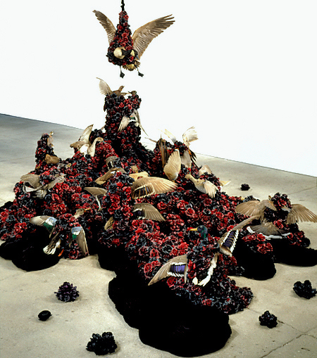 escapeintolife_petah_coyne7