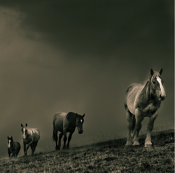 Ten of my favourite contemporary photographers for 2011 - 10_EscapeIntoLife