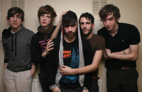 foals