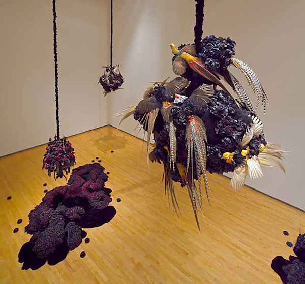 escapeintolife_petah_coyne9