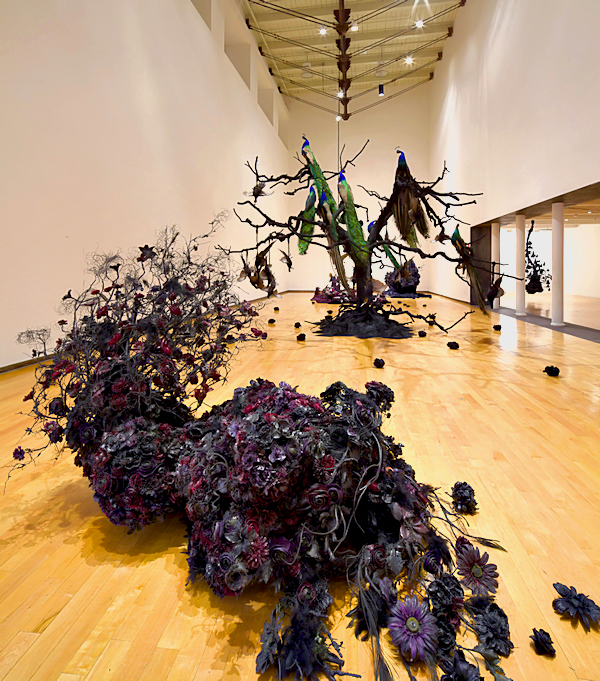 escapeiontolife_petah_coyne10