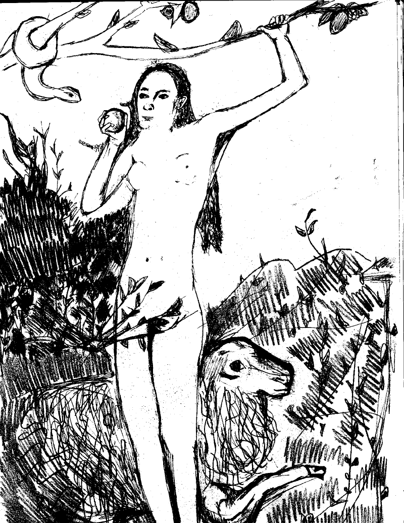 pic13