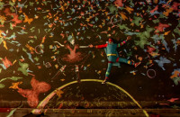 Strawberry_Swing_frame_18
