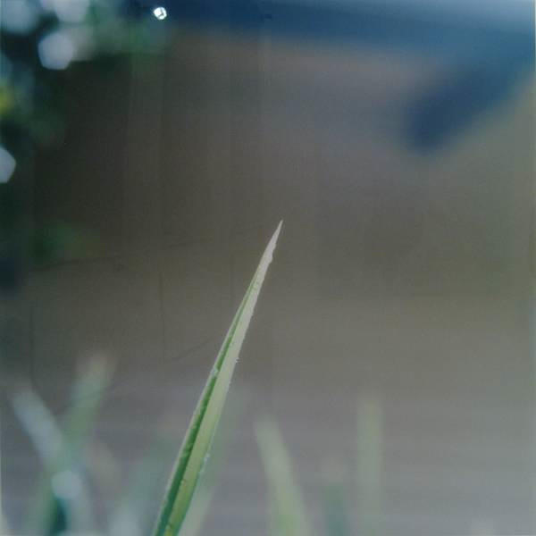 EscapeIntoLife_RinkoKawauchi3