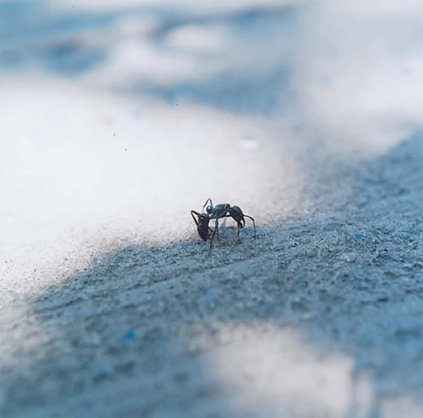 EscapeIntoLife_RinkoKAWAUCHI5