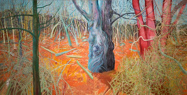 sue-mcnally_valleyfloor