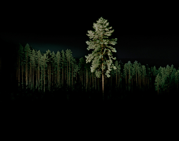 EscapeIntoLife_VincentSkoglund2