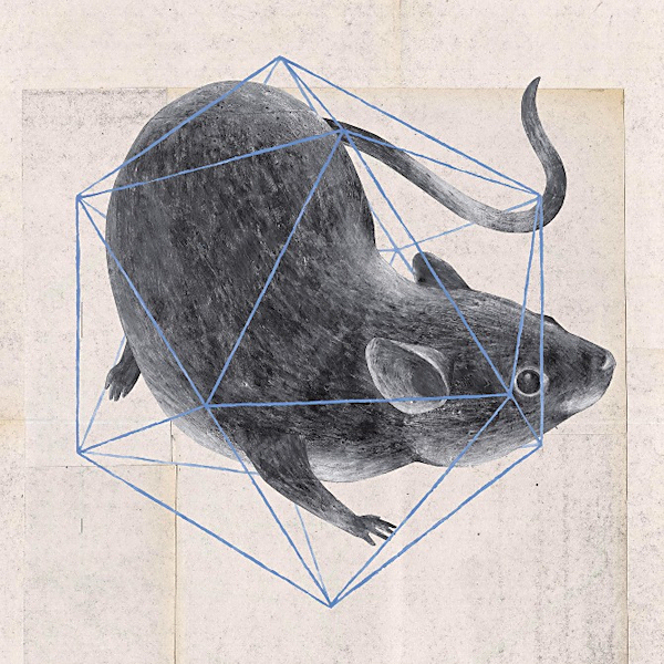 EscapeIntoLife_Martina Merlini8
