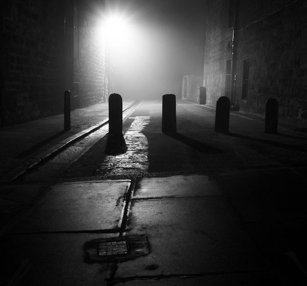 Foggy Lane
