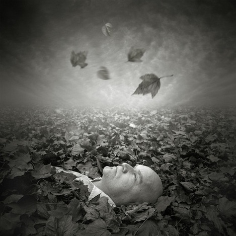 Michal, face in leaves