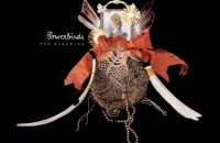 Bowerbirds-The-Clearing