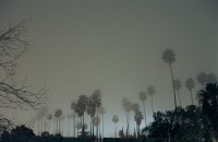 daniel-seung-lee-bwpalms