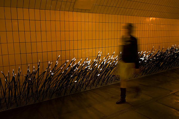 EscapeIntoLife-DaanRoosegaarde -3