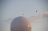 fleeting1