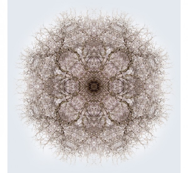 31_momentum00272