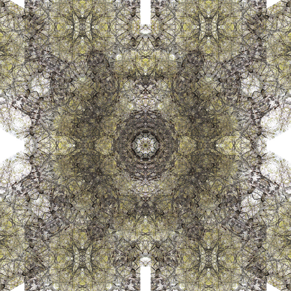 Banon_Alain_P2_03