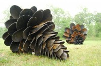 Shovel pinecones, Patrick Plourde