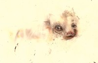 art_230