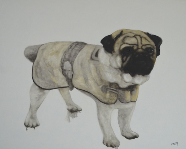 4.Pug
