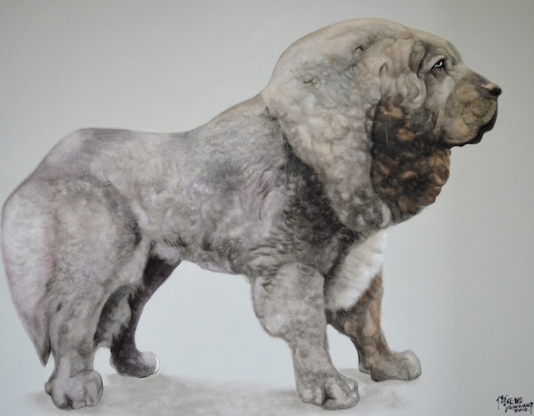 5.Dog