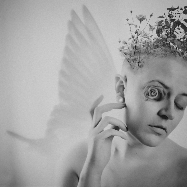 _KCP_02_Taproot