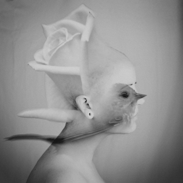 _KCP_03_Internal