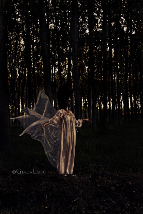 G.Laiso_The archive of human memories