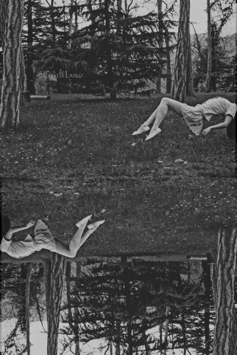 G.Laiso_Wonderland