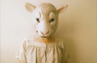 Gotch_Sheep