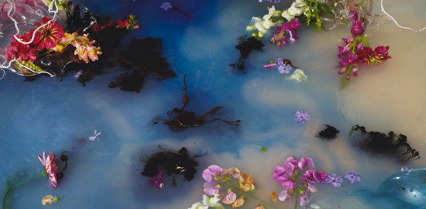 Smulders_Come True_50x102cm and 100x204cm