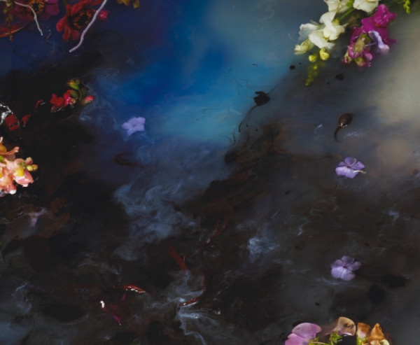 Smulders_Leave It_2012_50x61.5cm