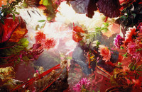 Smulders_Shall I Compare Thee to a Summer's Day?_2012_125x159and 75x95 cm