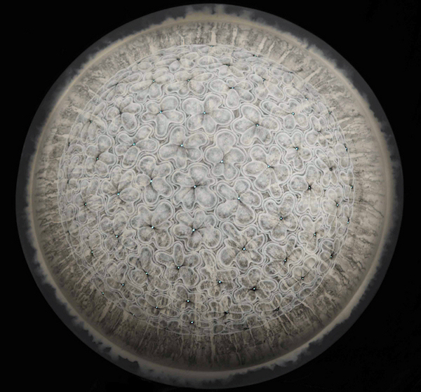 EscapeIntoLife_Carol_Prusa_2