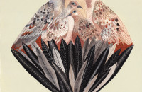 Morin_Dove Diamond_2012