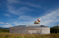 Monika Nguyen, house, kids, cow