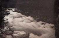 Rashod Taylor, Rapids_2_2013