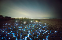 Lee Eunyeol, lit salt flats