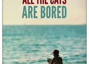 saturday all the cats image