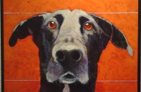 EJ Miley--curious orange 001