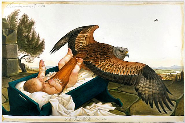 Walton ford pigeons #9
